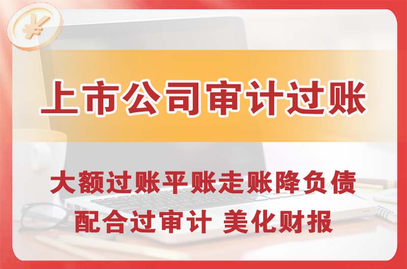 汝州上市公司审计过账